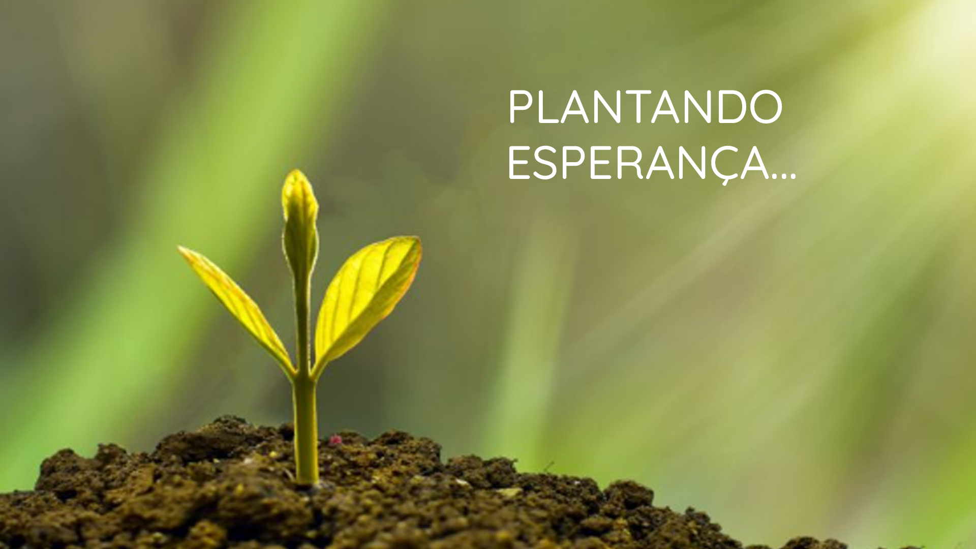 PLANTANDO ESPERANÇA...